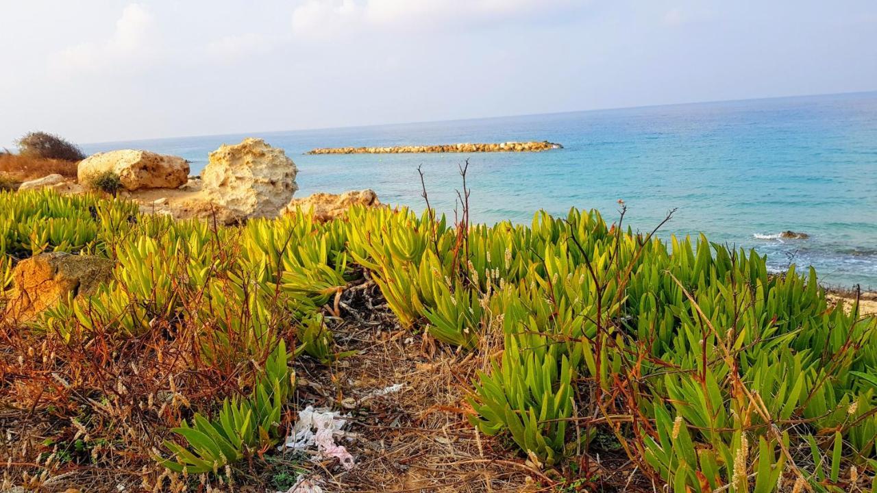 Dahan Sirena Lighthouse Luxury Apartment Paphos 外观 照片
